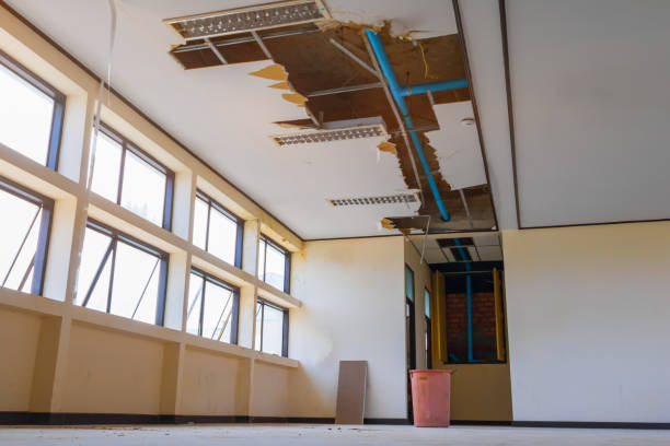 Best Water damage cleanup near me  in Plainview, NY
