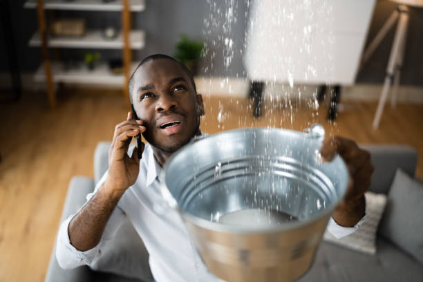 Best Flood restoration services  in Plainview, NY