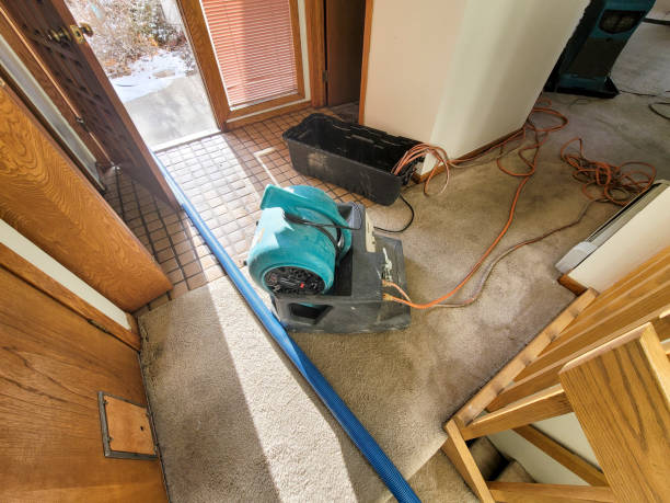 Best Water damage restoration near me  in Plainview, NY