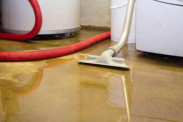 Best Carpet water damage restoration  in Plainview, NY