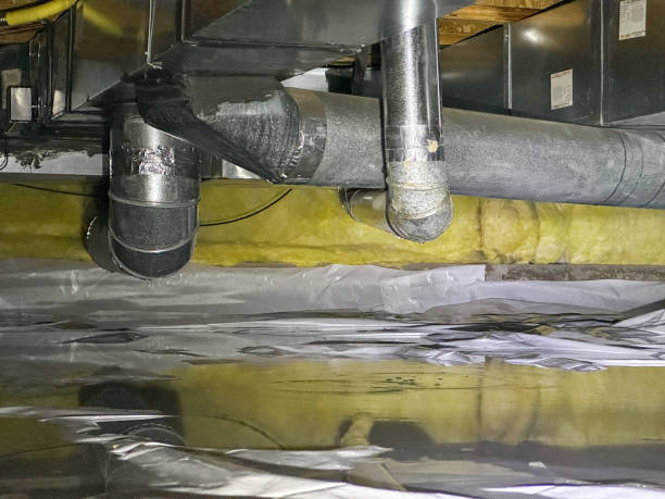 Best Sewage cleanup and water damage restoration  in Plainview, NY
