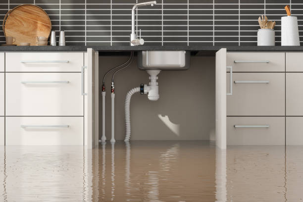 Best Water damage contractors near me  in Plainview, NY