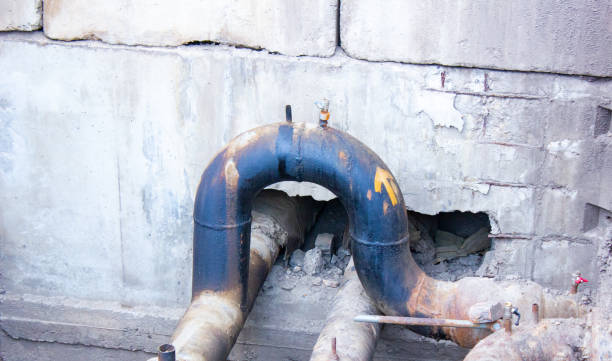 Best Water damage mitigation services  in Plainview, NY