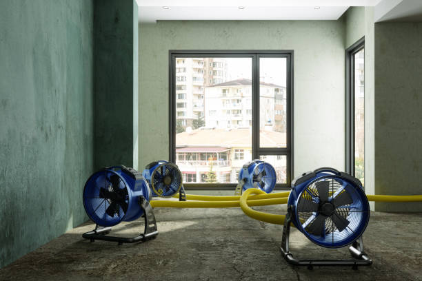 Best Fire Damage Restoration  in Plainview, NY