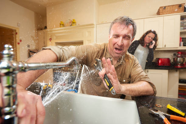 Best Flood damage cleanup  in Plainview, NY